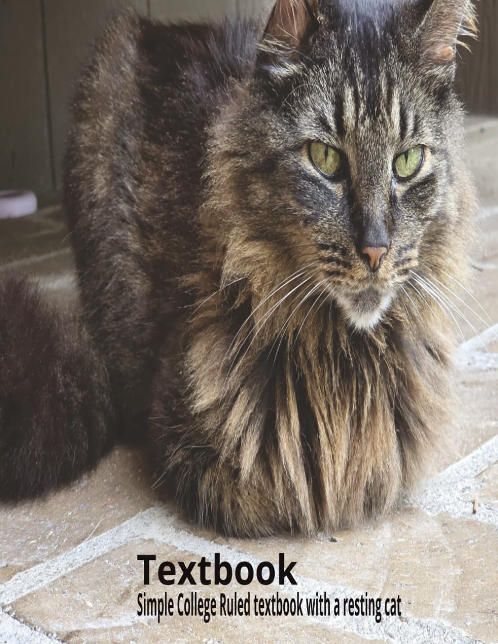 Cat Resting College Ruled Textbook: a Simple Textbook with a Cat Resting | 8.5 X 11 | 100 Pages | Textbook | Notebook | College Ruled | Single Subject | Writing for School, Education, or Leisure