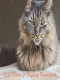 Cat College Ruled Textbook: Simple Cat Cover with 140 Pages for Education, College, and Writing Textbook