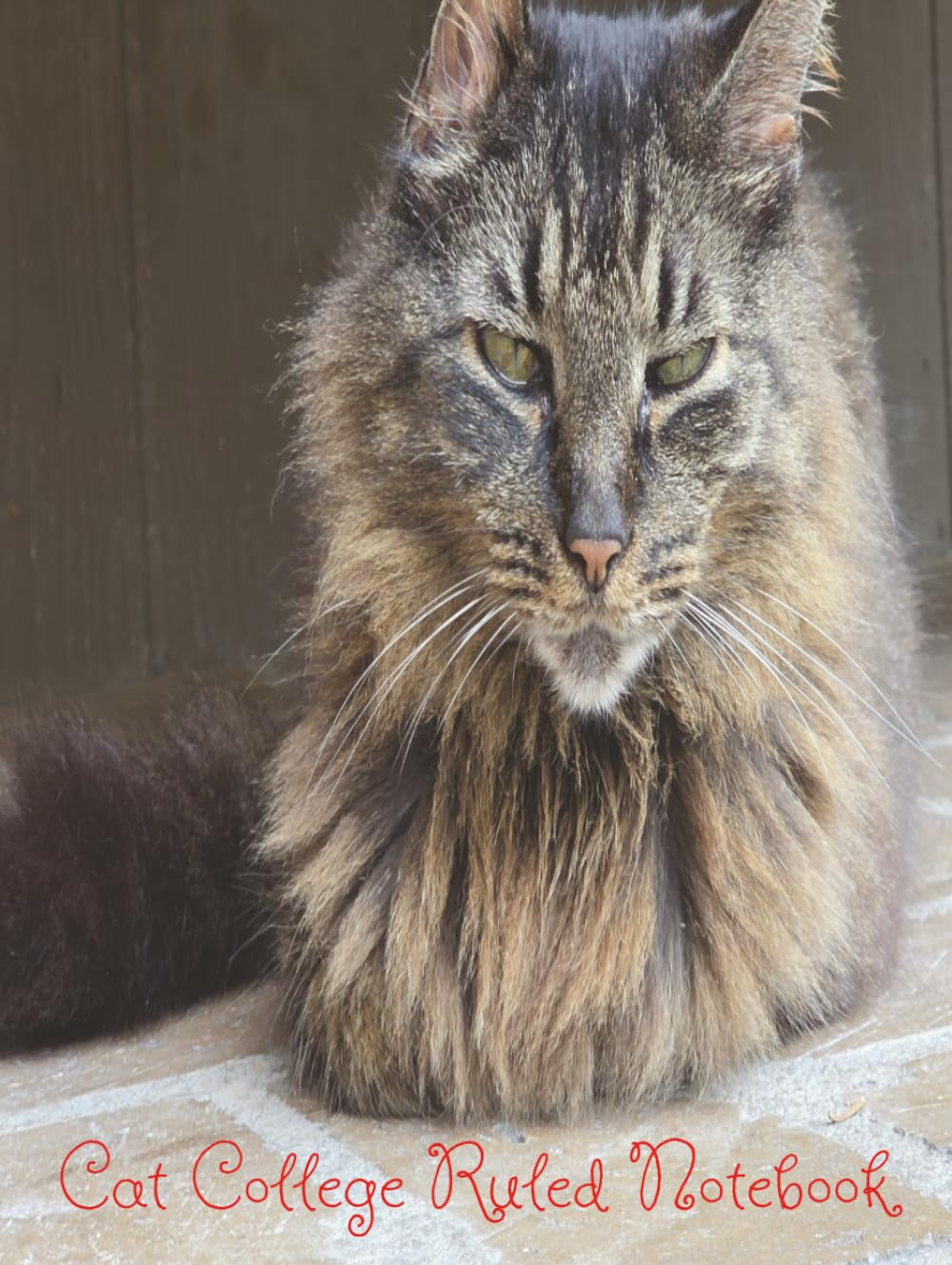 Cat College Ruled Textbook: Simple Cat Cover with 140 Pages for Education, College, and Writing Textbook